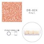 MIYUKI デリカビーズ DB-824 シルクエナメル焼付 3g メール便/宅配便可 db-824-3g