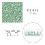 MIYUKI デリカビーズ DB-828 シルクエナメル焼付 3g メール便/宅配便可 db-828-3g