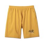 AKTRakta-AEROSTEAM LOGO 8.5-INCH SHORTS шорты 223-006002 YELLOW