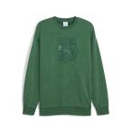 PUMA Puma M TMNT RELAXED GRAPHIC CR тренировочный Crew 630100 37VINE