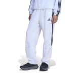 adidas Adidas M TEAMGEIST TP длинные брюки KD5867 WHITE/CRSKY