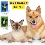 犬 歯石除去 歯石取り カンシ 犬 猫 口臭予防 玩具 歯石取り 器具 ネコポス お届け日時指定不可 代引き不可商品