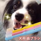 ペット用品 犬 歯ブラシ EDOGJAPAN 歯ブラシ3本 日時指定不可 ネコポス発送商品