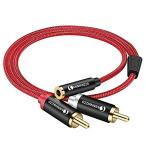 ANNNWZZD RCA ケーブル，3.5mm(メス) - 2RCA(オス)ステレオオーディオアダプタケーブル，rcaステレオケーブル 延長(0.5M