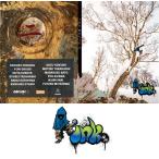 INK MOVIE インクムービー 【 INK MOVIE 2 】　SNOWDVD SNOWBOARD スノーボード　DVD メール便対応！　