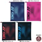 [ Yonex ] сумка для обуви обувь сумка / обувь inserting / бардачок / простой сумка / теннис сумка / бадминтон сумка /YONEX (BAG2093)