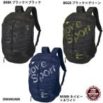 [ Descente ] Tour рюкзак Sportback / рюкзак / рюкзак /DESCENTE (DMAMJA80)