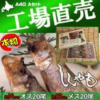 ししゃも シシャモ 北海道産 送料無料 ギフト 本ししゃも 柳葉魚 干物 オス20尾 メス20尾 工場直送 Ａ