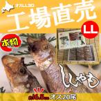 ししゃも シシャモ 北海道産 送料無料 ギフト 本ししゃも 柳葉魚 干物 オス20尾16.5cm 工場直送 オスLL20