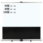 [ оплата при получении не возможно ]IZUMI пол .* независимый 100 дюймовый W экран (16:10) RS-100VAW