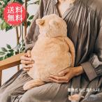 湯たんぽ 蓄熱式 ねこ湯たんぽ ねこ 猫 ネコ 充電式 エコ 送料無料