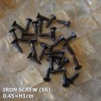 アイアン　アルファベットプレート用ビスSS　0.45×1cm　アルファベットプレート用　【メール便可】【新生活】