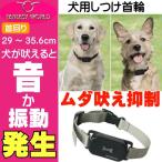 犬用しつけ首輪S 首回り 〜35.6cm 振