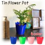  жестяная пластина производства ska LAP цветок pot ( все 4 вид ) Flower Pot посадочная машина цветочный горшок бардачок декоративное растение модный интерьер красочный симпатичный 