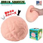 ブレイン スクイーズ 脳みそ スクイーズ 揉む ふわふわ 柔らかい 脳 臓器 手触り 気持ちいい 面白グッズ おもちゃ