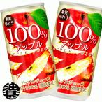 『送料無料！』（地域限定）サンガリア 果実味わう100％ アップルジュース 190g缶×30本 /果汁100％ りんごジュース 190ml  林檎/ /sg/