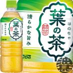 『送料無料！』（地域限定）ダイドー 葉の茶  525mlペットボトル×24本【お茶 緑茶 日本茶 宇治抹茶】/ot/