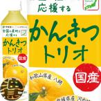 『２ケース送料無料！