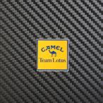 Team Lotus CAMEL вне обивка стикер редкий подлинная вещь 