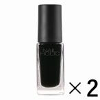 Yahoo! Yahoo!ショッピング(ヤフー ショッピング)《コーセー》 NAIL HOLIC ネイルホリック BK010 5ml×2 （ネイルカラー）
