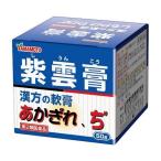 【第2類医薬品】 山本漢方製薬(株) 紫雲膏 ボトル 50g