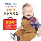 (福袋 2019)(送料無料)春秋冬物 訳あり福袋 アウトレット B品 ベビーキッズ服 福袋 男の子 女の子 サイズ 新生児 60 70 80 90