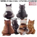  кошка type .. мягкая игрушка подушка мягкая игрушка ..... нежный. кошка type подушка кошка подушка подушка .. type подушка мягкая игрушка кошка 