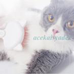  выпадение шерсть щетка домашнее животное щетка собака кошка выпадение шерсть брать .. шерсть период массаж b веревка товары для домашних животных домашнее животное . починка очиститель шерсть шар брать . груминг 