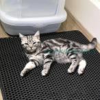  кошка песок накладка домашнее животное кошка коврик товар кошка туалет коврик скол .. предотвращение предотвращение скольжения коврик дезодорирующий антибактериальный кошка песок кошка сопутствующие товары удаление песка коврик кошка песок catcher песок сбрасывание загрязнения предотвращение 