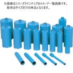シブヤ ライトビット 60mm M27ねじ 有効長250mm 湿式1本物ビット ダイヤモンドビット 051023