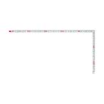 TAJIMA タジマ KA-M5 等厚曲尺 同目50cm