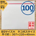 クッション封筒 ネコポス ゆうパケット クリックポスト対応サイズ B5 100枚セット 開封テープ付 スリム 薄型 指定配送送料無料