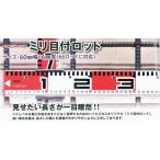 ハイビスカス ミリ目付ロッド（単品） 1m 測量 土木 建築 施工  66ロッド対応 60mm幅×6mm厚