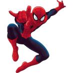 スパイダーマン 壁紙 その他のインテリア雑貨 通販 価格比較 価格 Com