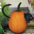 装飾 飾り デコレーション パーティグッズ インテリア かぼちゃに入った黒猫
