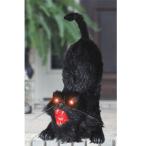 装飾 飾り デコレーション パーティグッズ インテリア 目の光る黒猫