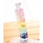 【完成品】 レインボー ハーバリウム 虹 あじさい プレゼント 母の日 誕生日 結婚祝い 新築祝い ギフト 敬老の日 Rainbow 送料無料 ペット供養