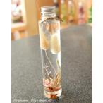 秋色ドライフラワーのナチュラルハーバリウム