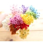 [ small amount .] Star flower *bro Sam [ each color 1 bundle *40 pcs insertion .]