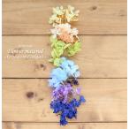  гербарий комплект ручная работа стартер комплект материалы для цветочной композиции [ пробный комплект ] гербарий материалы для цветочной композиции комплект 1 минут ( градация * коктейль ) красочный коктейль сауэр 