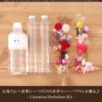 母の日 ハーバリウム 手作りキット【２本分】（オイル500ml、ガラス瓶2本、選べる花材2種類） 送料無料 ハンドメイド 花材 綺麗 おしゃれ カーネーション