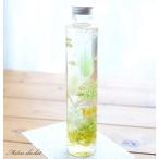 ハーバリウム メロンシャーベット - Melon sherbet - 【完成品】 スイーツ ハーバリウム オリジナル 母の日 誕生日 プレゼント ギフト 植物標本 送料無料