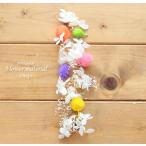  гербарий комплект ручная работа стартер комплект материалы для цветочной композиции [ пробный комплект ] гербарий материалы для цветочной композиции комплект 1 минут ( Drop s) конфеты конфеты сладости 