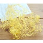 < ограниченное количество >[ небольшое количество .]OC soft Minica smi.( Angel желтый ) материалы для цветочной композиции ручная работа материалы материал бесплатная доставка консервированный цветок 