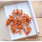  перец Berry * консервированный [ небольшое количество .]( orange ) материалы для цветочной композиции консервированный цветок ручная работа материалы материал бесплатная доставка 