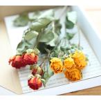 AF dry * спрей rose 2 -цветный набор ( желтый & orange серия )[ небольшое количество .* немного количество ] сухой цветок бесплатная доставка 