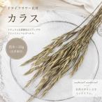 ドライフラワー 花材 カラス 約8〜10g ナチュラル スワッグ リース ア…