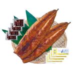 ウナギ 超特大 鹿児島県産 うなぎ蒲焼き 250g×2尾 計500g 冷凍 国産 無添加タレ ギフト 土用の丑の日 鰻 うな丼 ひつまぶし 高級 お取り寄せ グルメ プレゼント