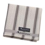  Aquascutum Aquascutum носовой платок AQ6426