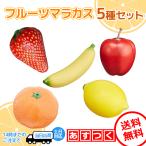 フルーツ マラカス シェイカー 5種セット パーカッション リトミック 楽器 演奏会 音楽療法